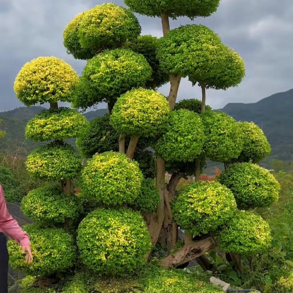 源流商贸甄选