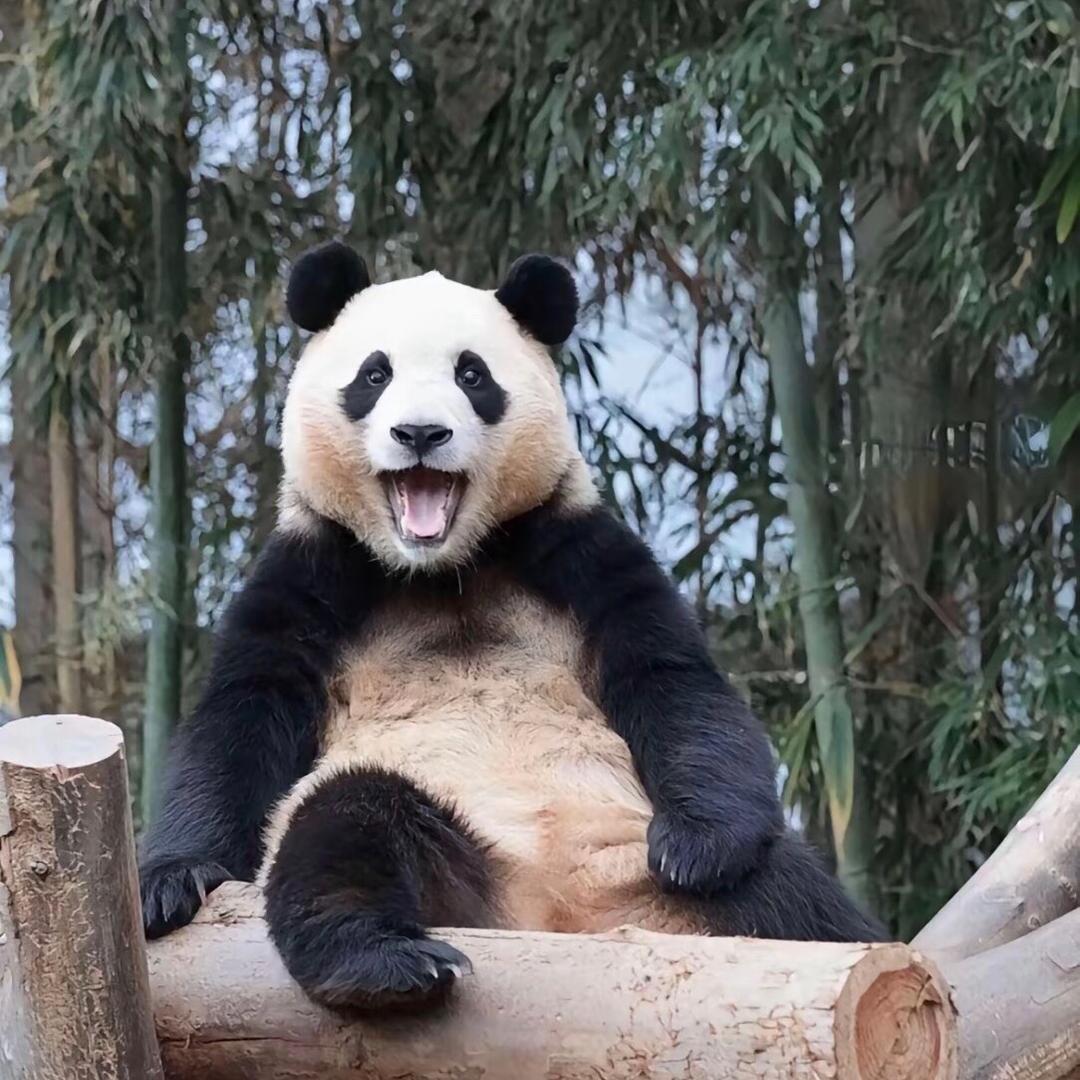 阿福
