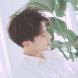 🎬涛