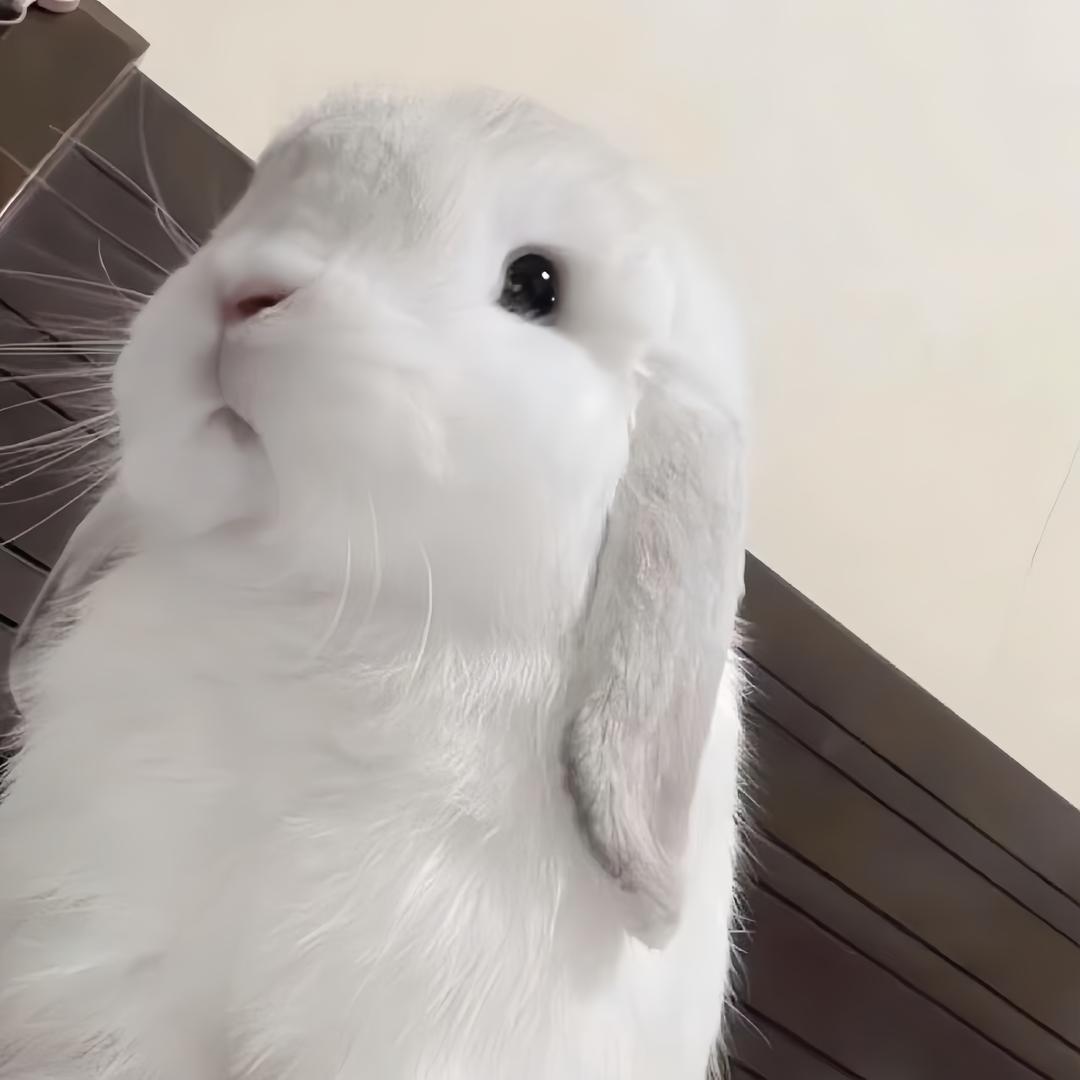 959