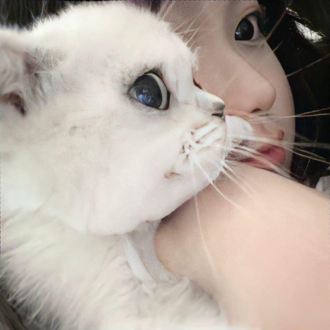 王饱饱