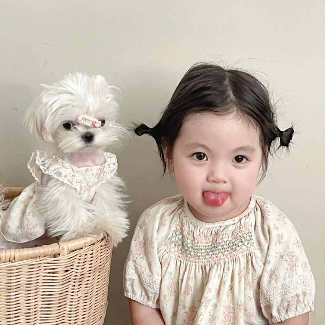 酒酿小媛子
