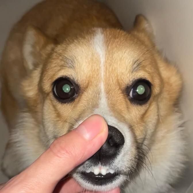 马家堡子第二生产大队