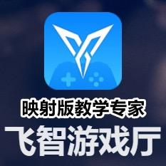 ios苹果高版本手柄映射专家