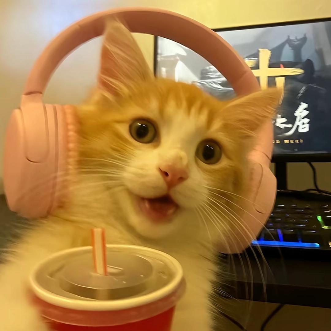不忧郁的茄子
