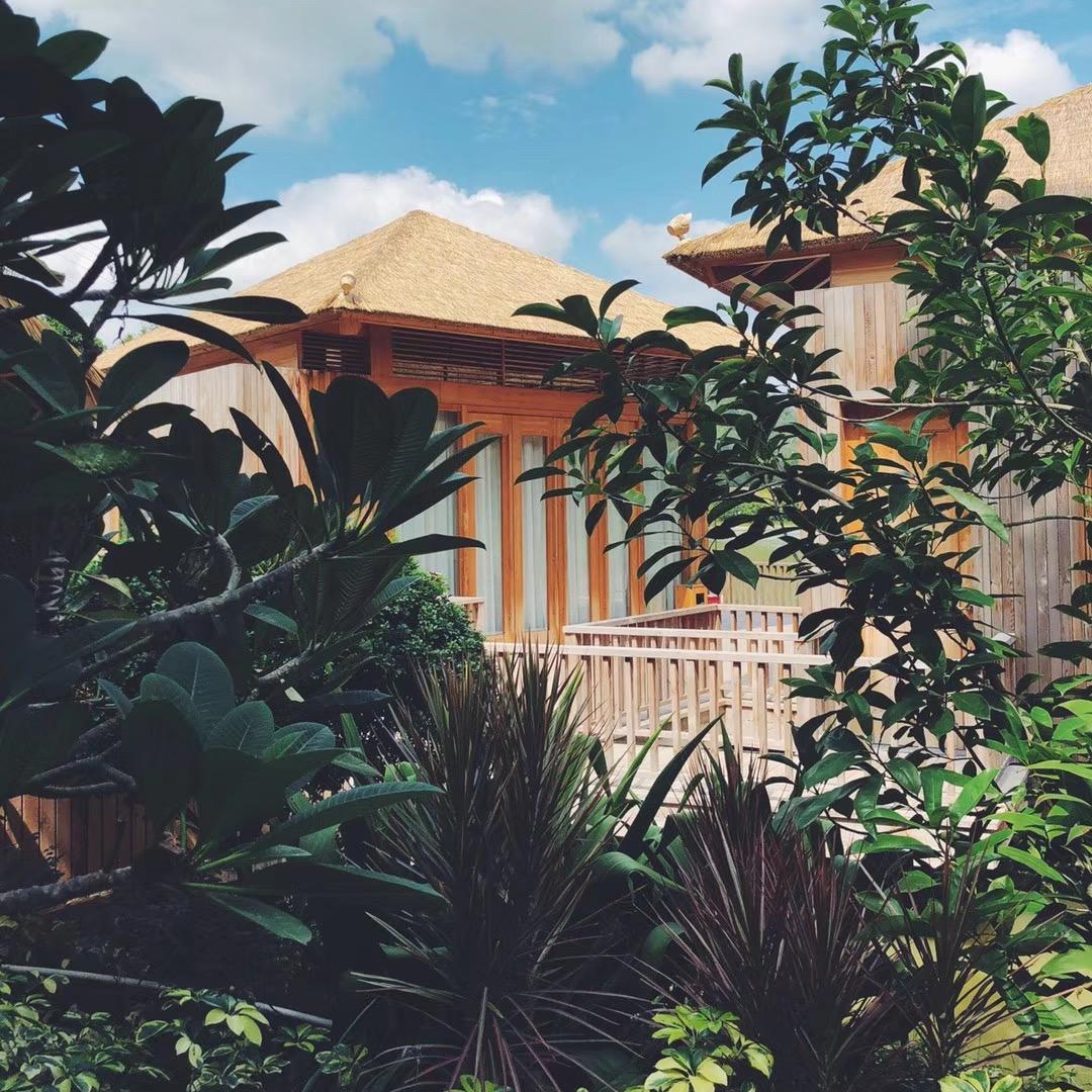 洋洋洋甄选好物