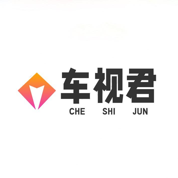 车视君