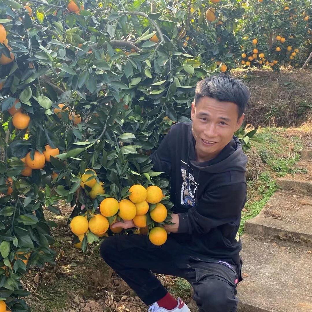 乡村凯迪