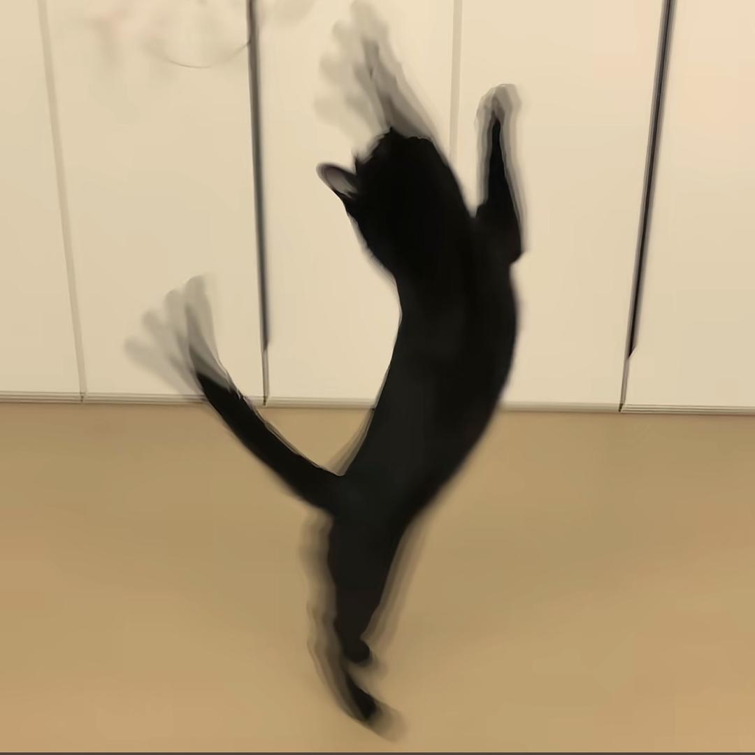 多利亚