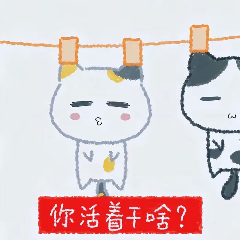 他胃不好总是痛