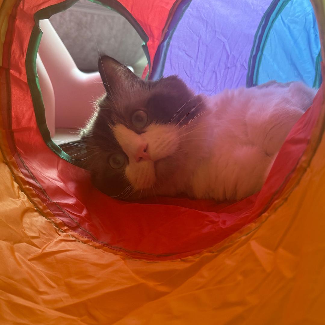 满山猴子就我腚红