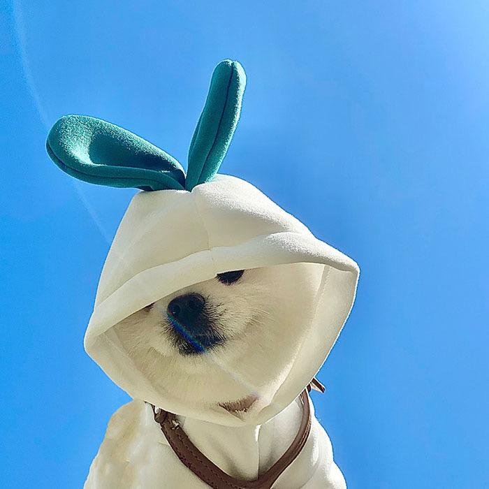 ㅤ ㅤ吴庆