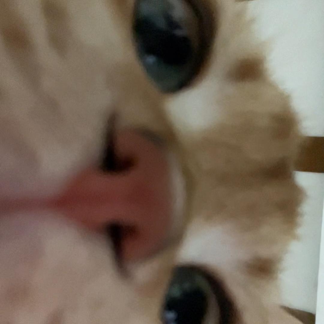 o3o