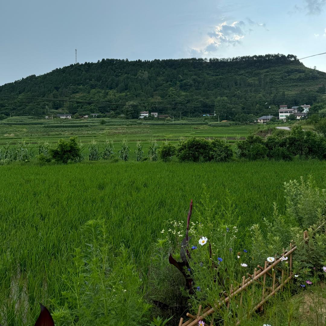 @是阿敏