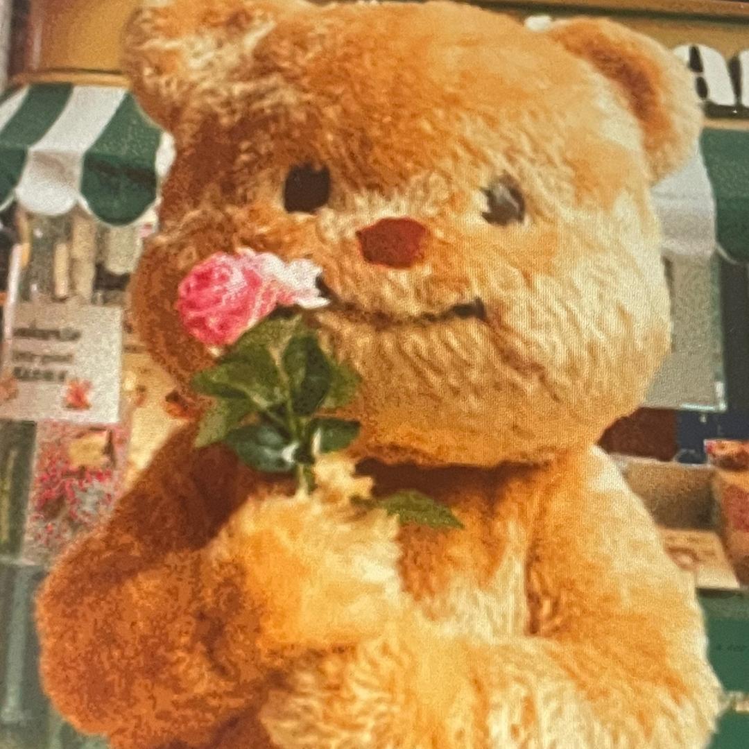 小小宝培