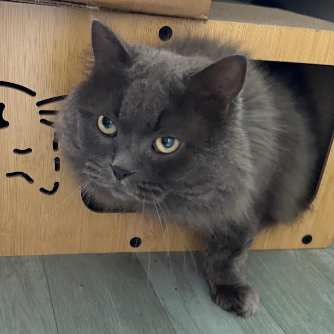 七宝宝不是吃饱饱