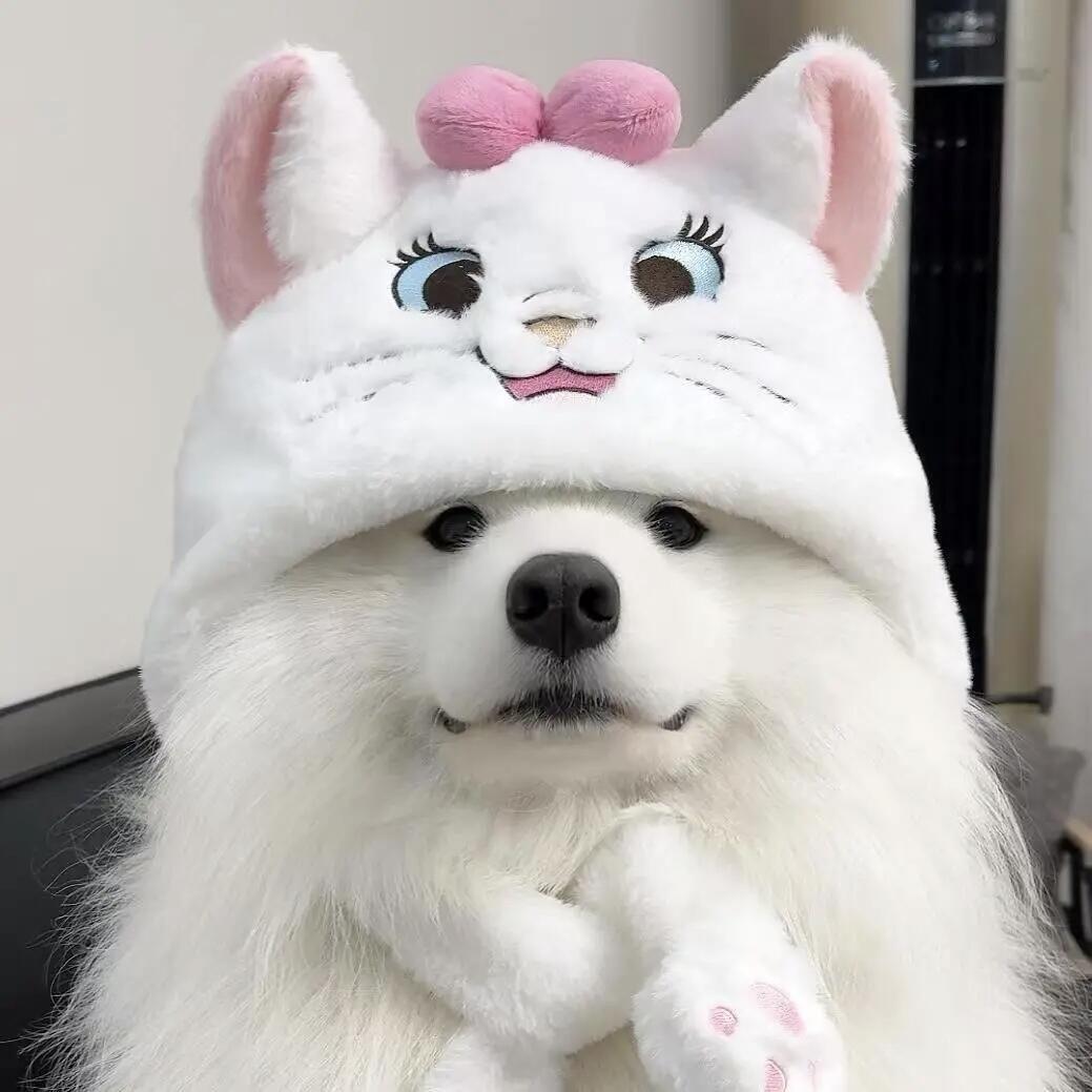 咪酱