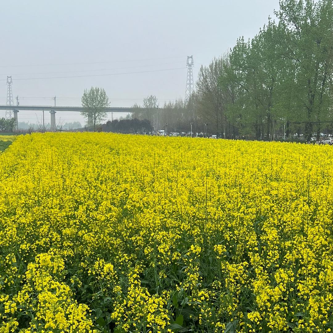 小贴心