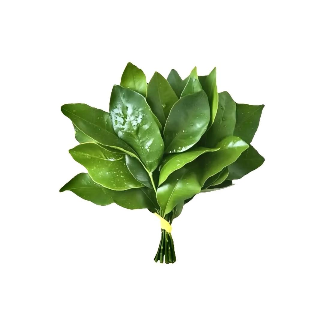 米菲大王