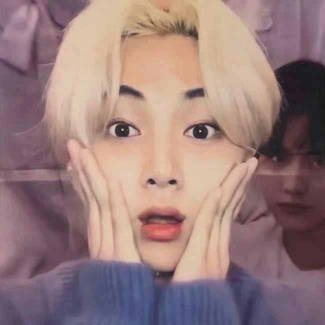 猫大厨👨🏻‍🍳