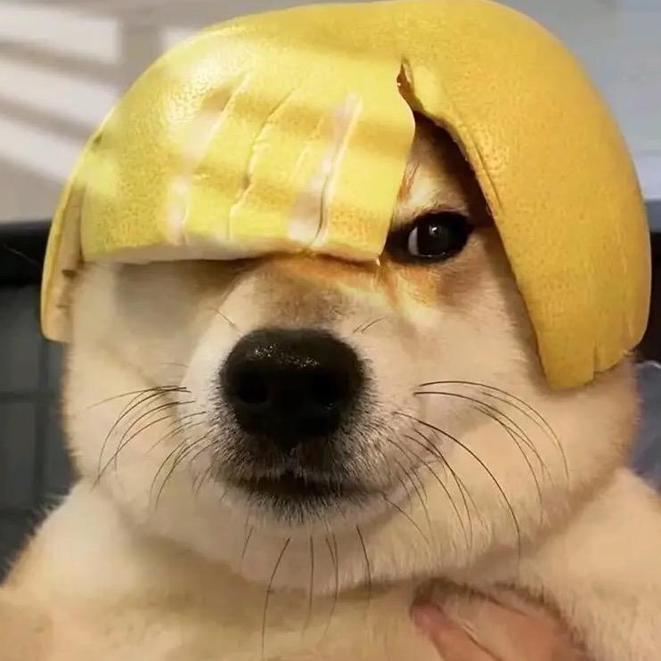 一条肥米奇