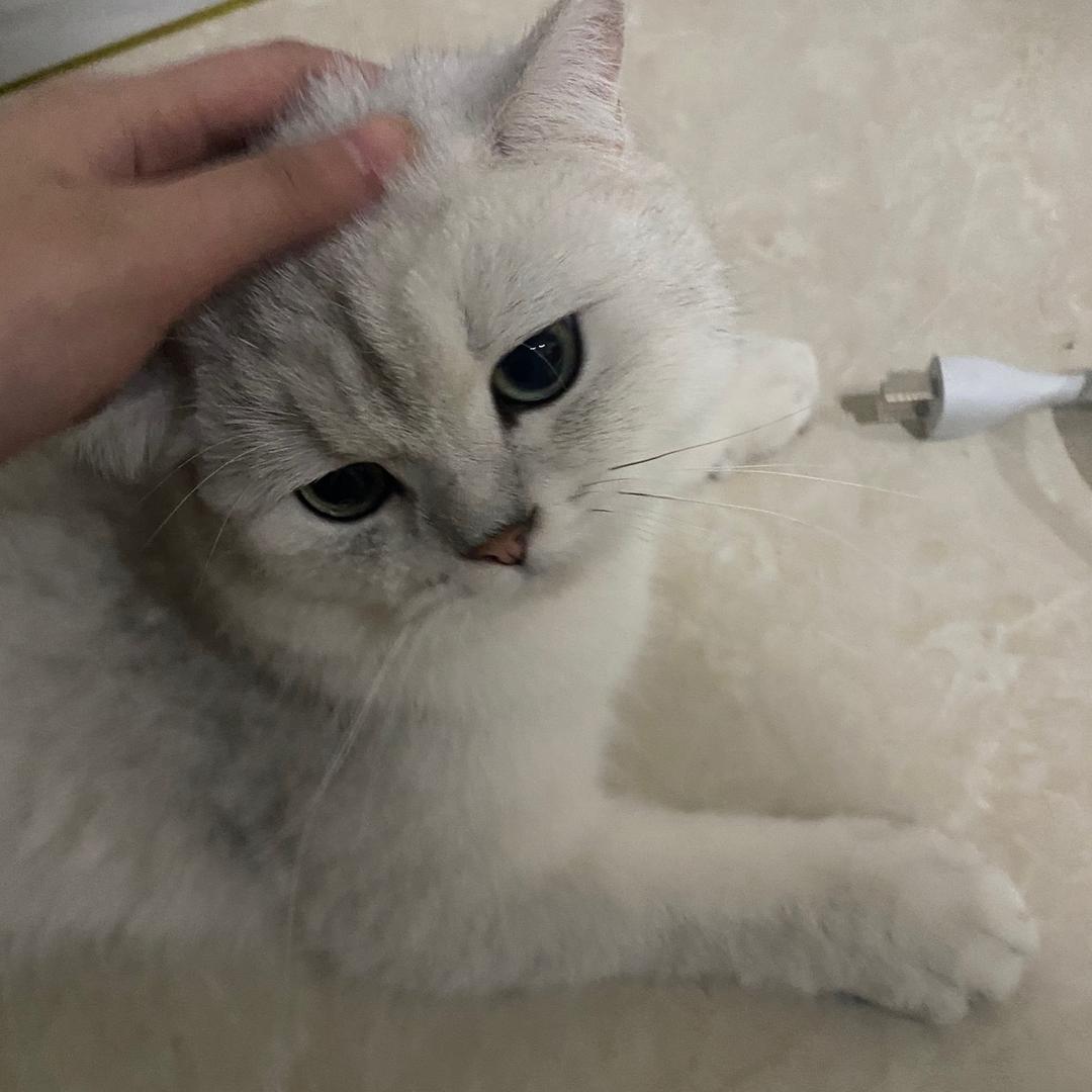 17 LLmn