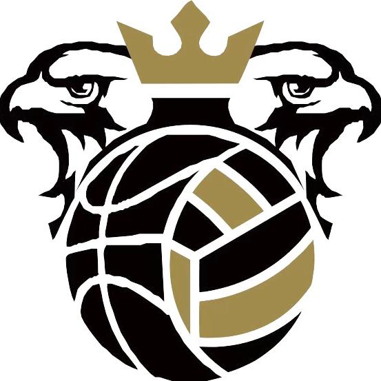 宁夏极速游隼排球俱乐部