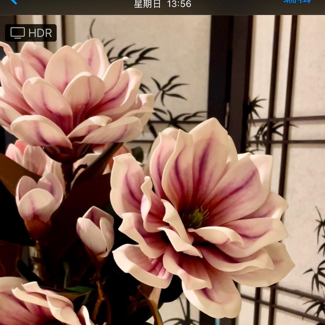 百花坊花铺