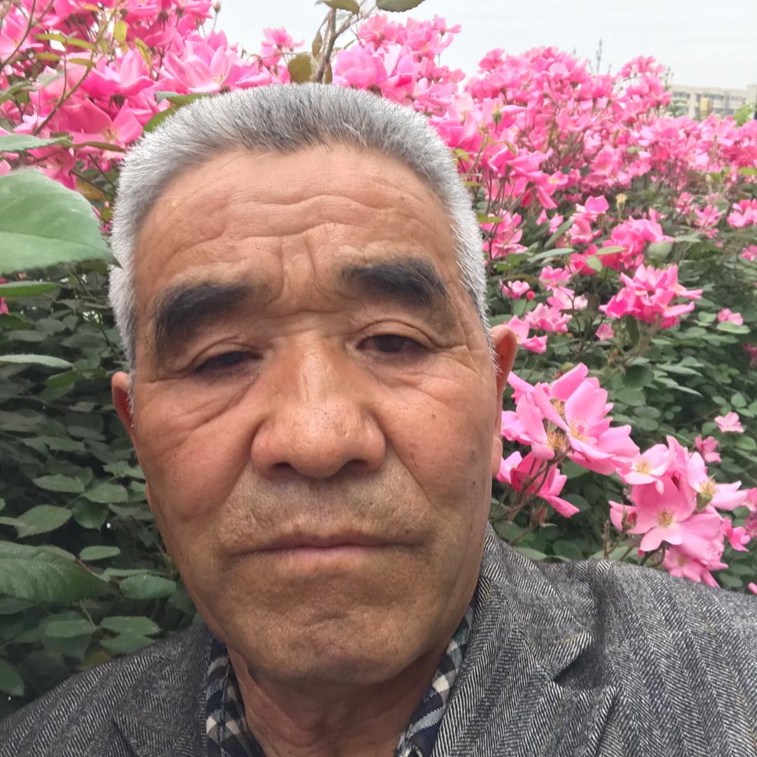 老李头的进城幸福生活