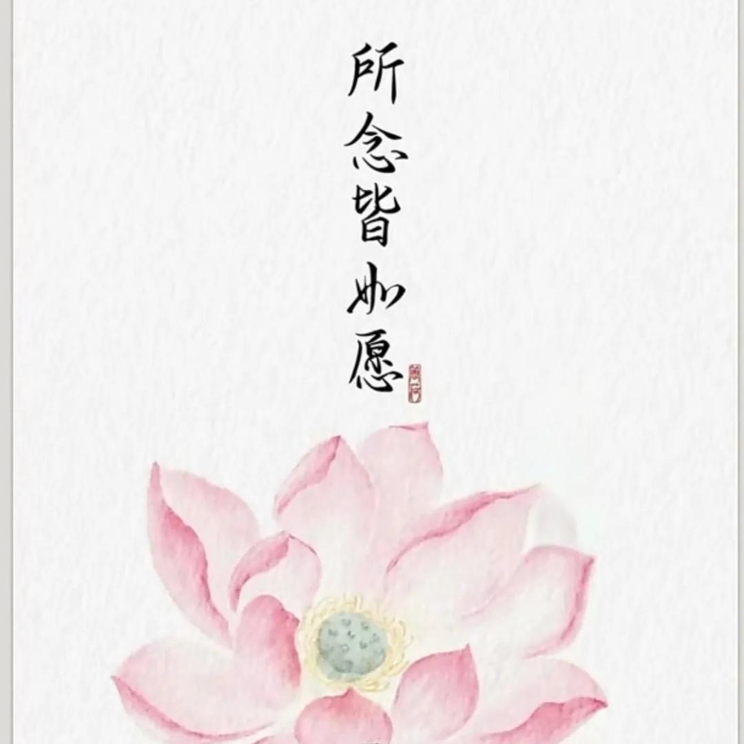 行安咨询