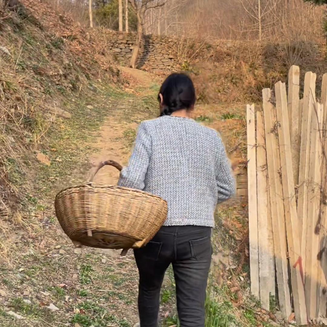 安安在陕南