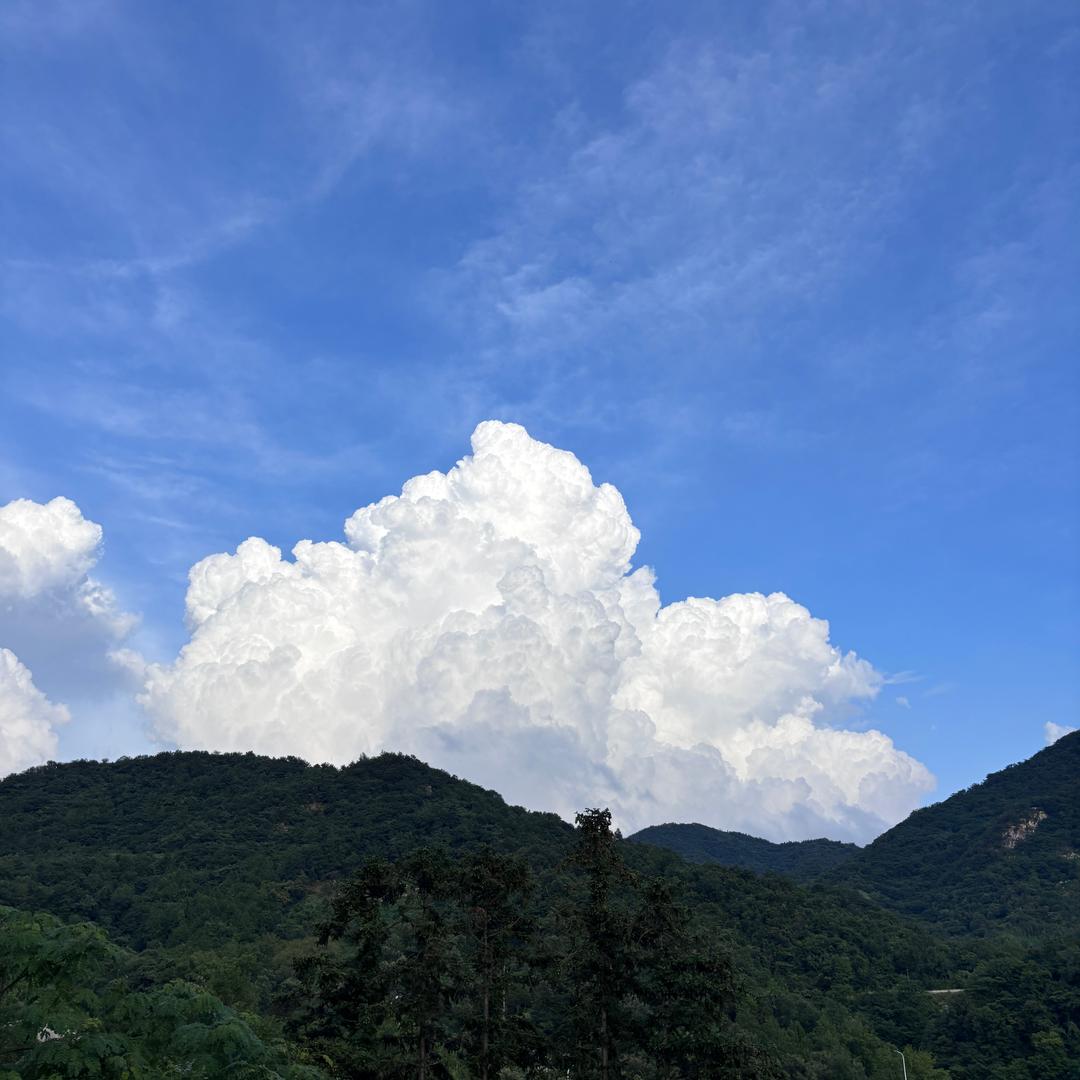当谷山农园