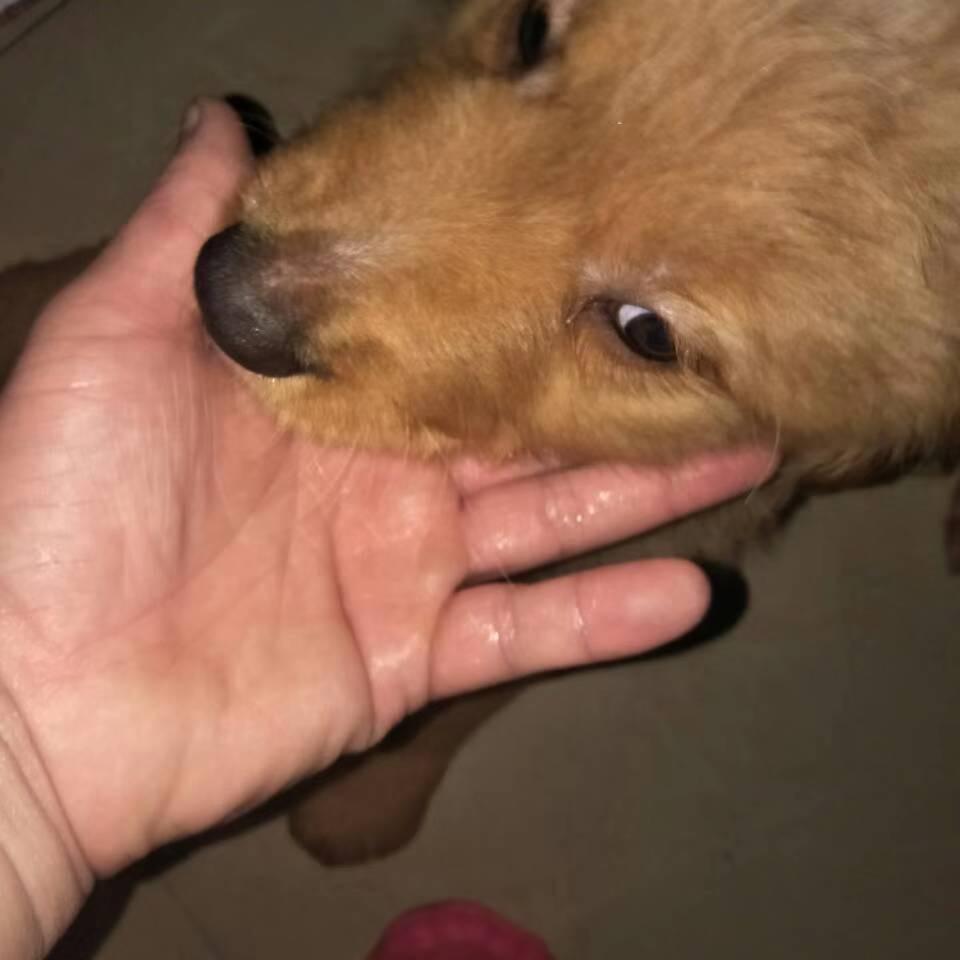 一个哒不溜头像
