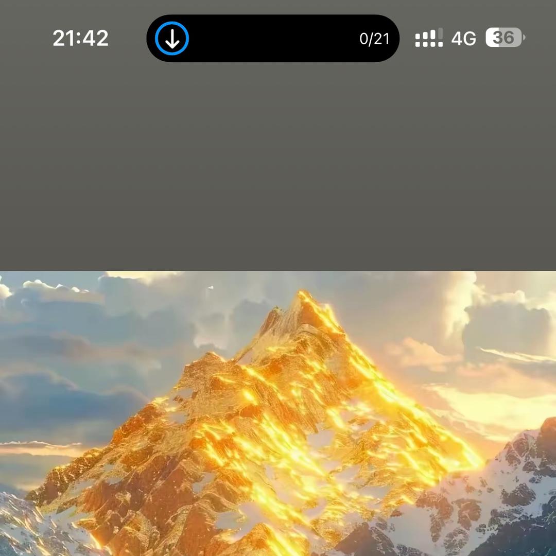 澹台忘机