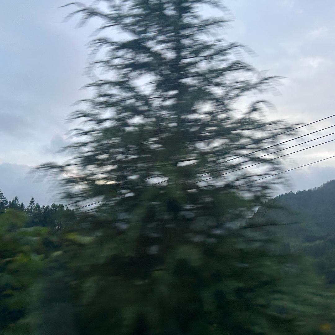 用户禁