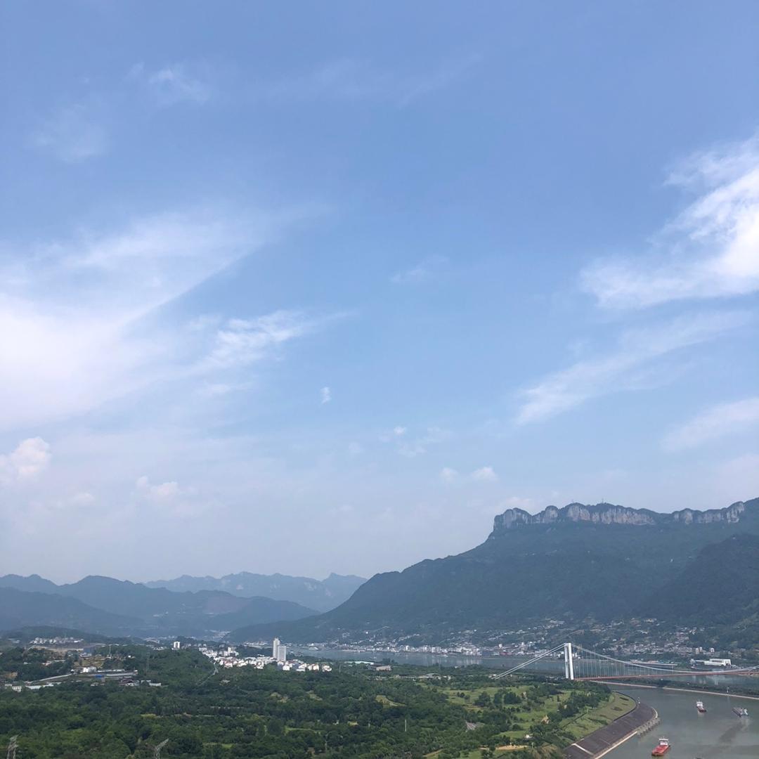 森se