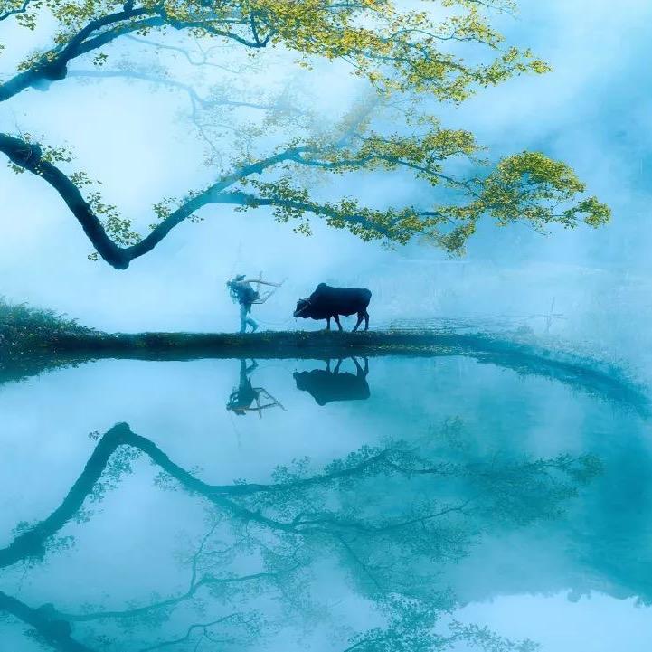 江枫眠