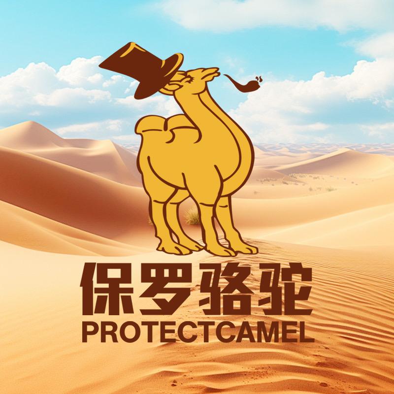 保罗骆驼户外鞋
