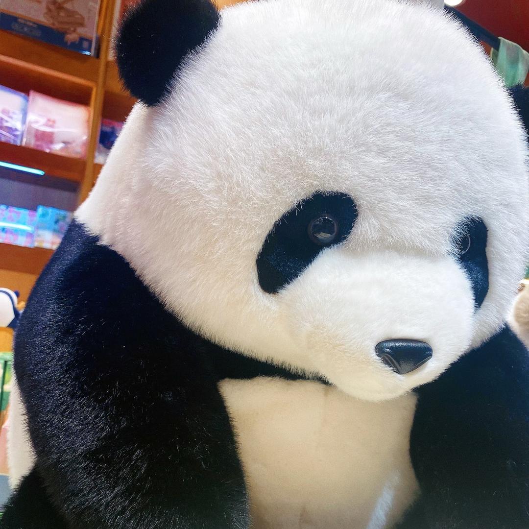 昭阳