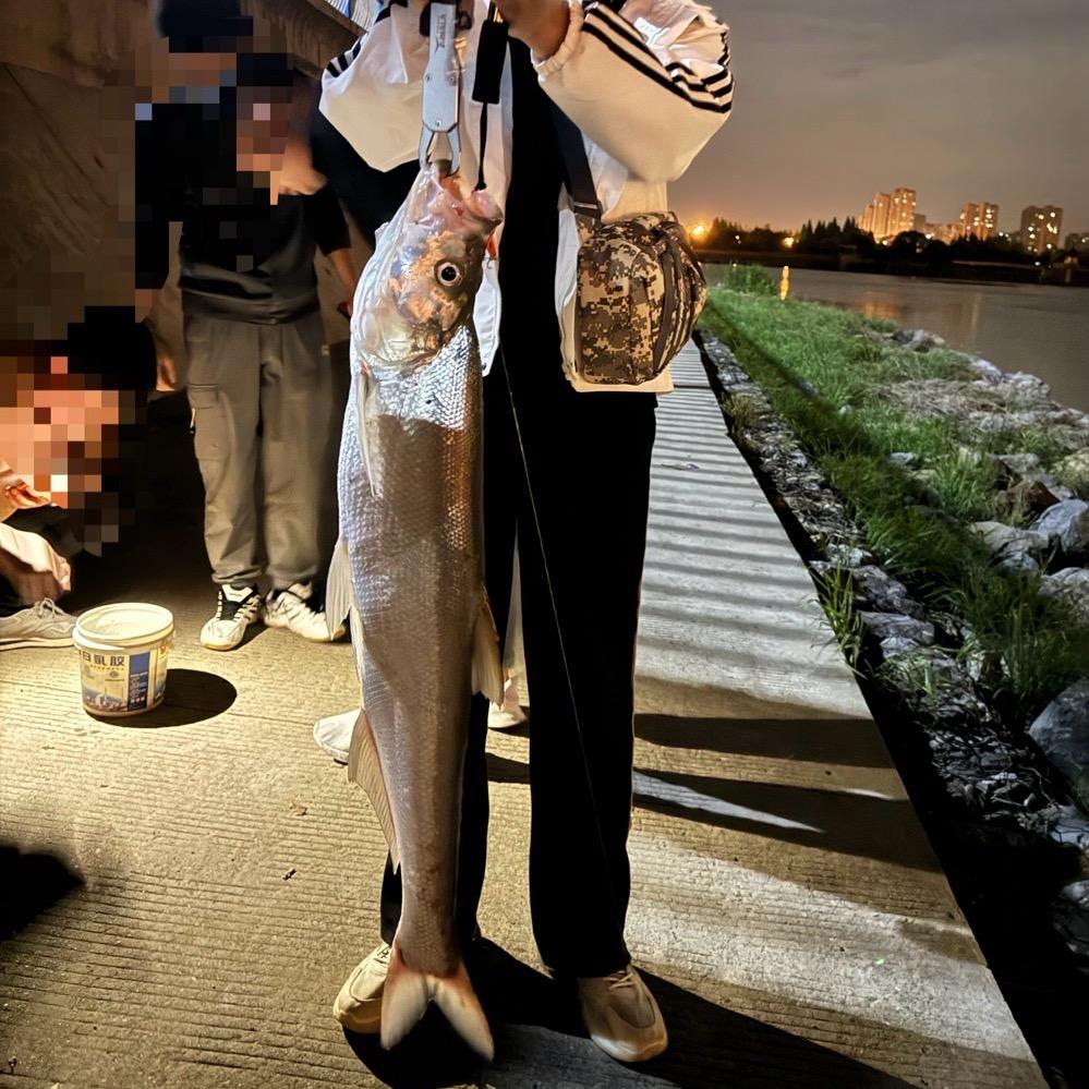 路亚大伟🎣