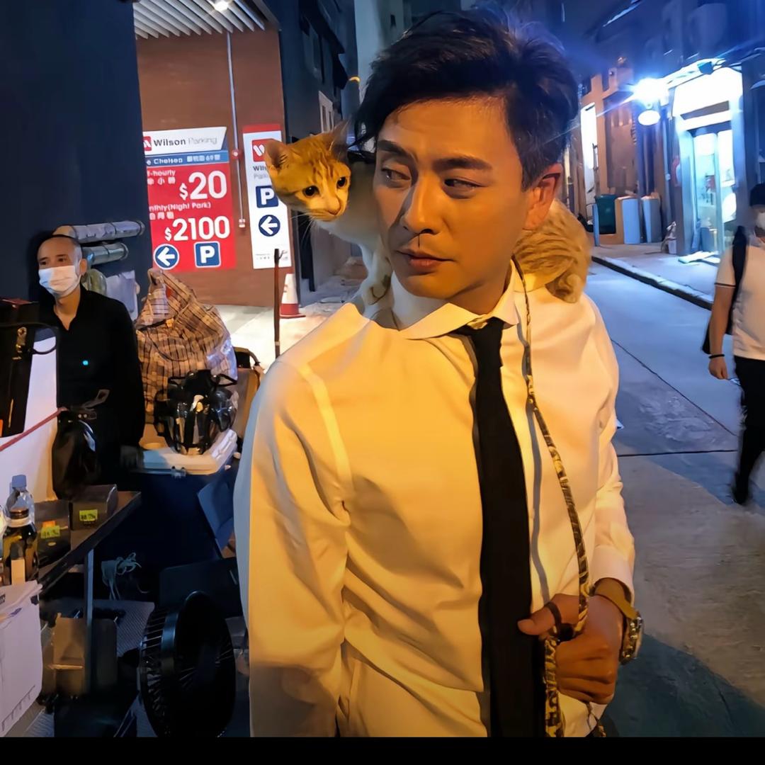 夜雨声烦.