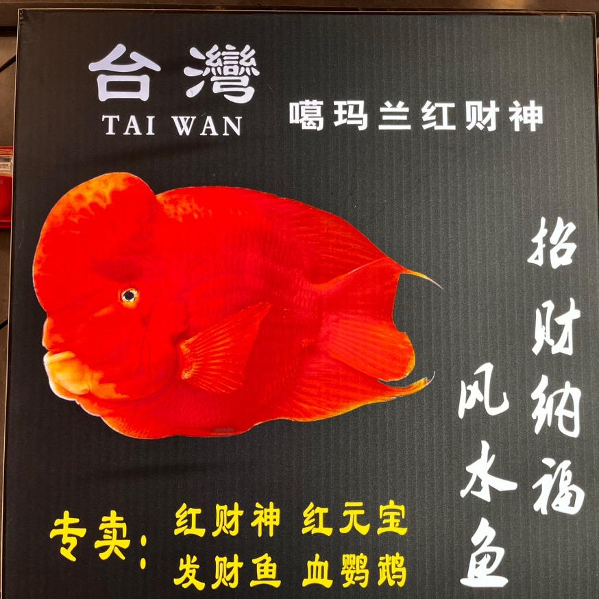 洪友鱼业(养鱼青年)