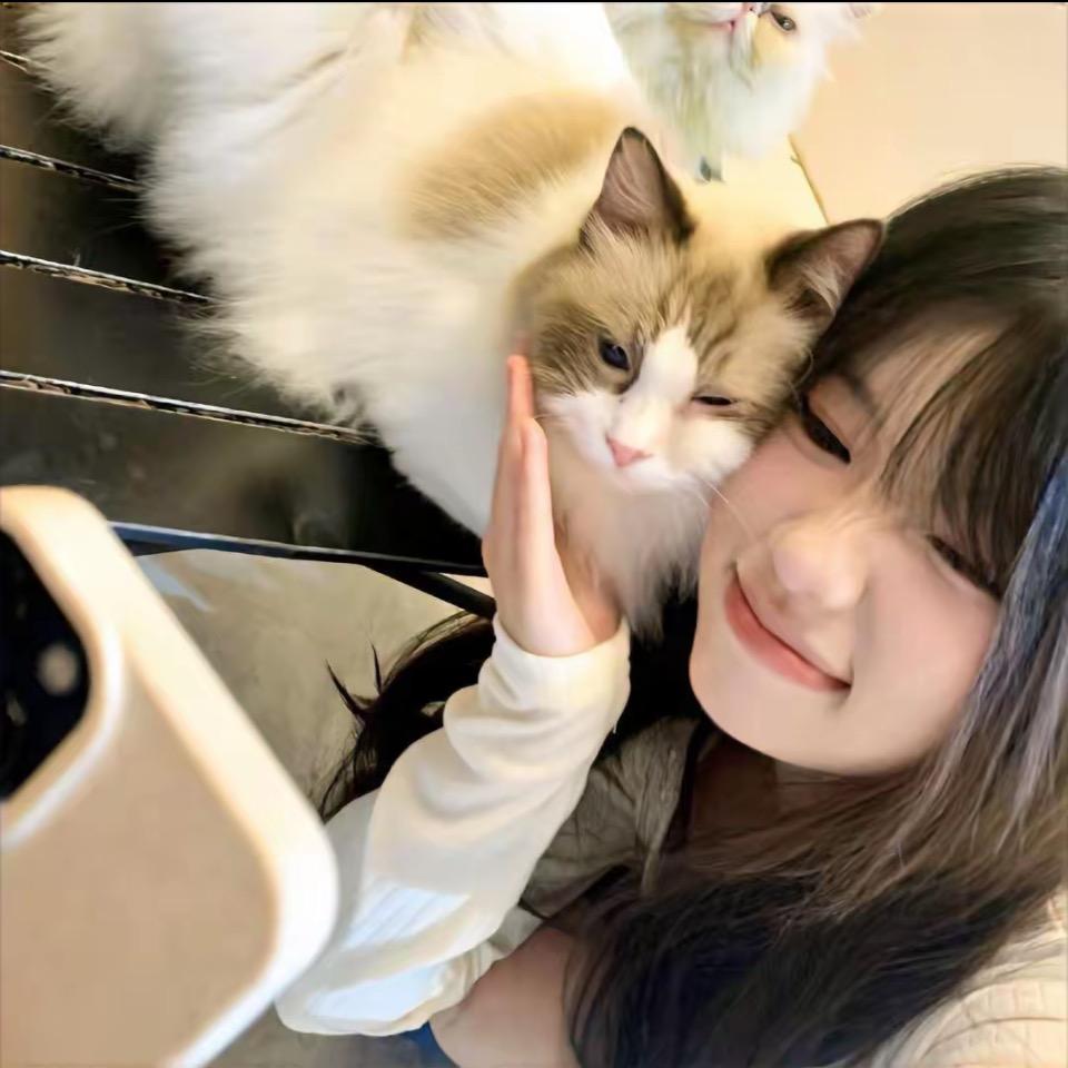 三头六臂呀