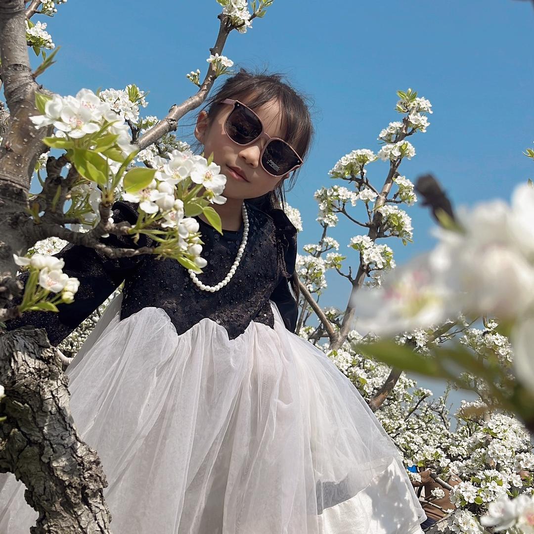 五河金芭蕾彬彬