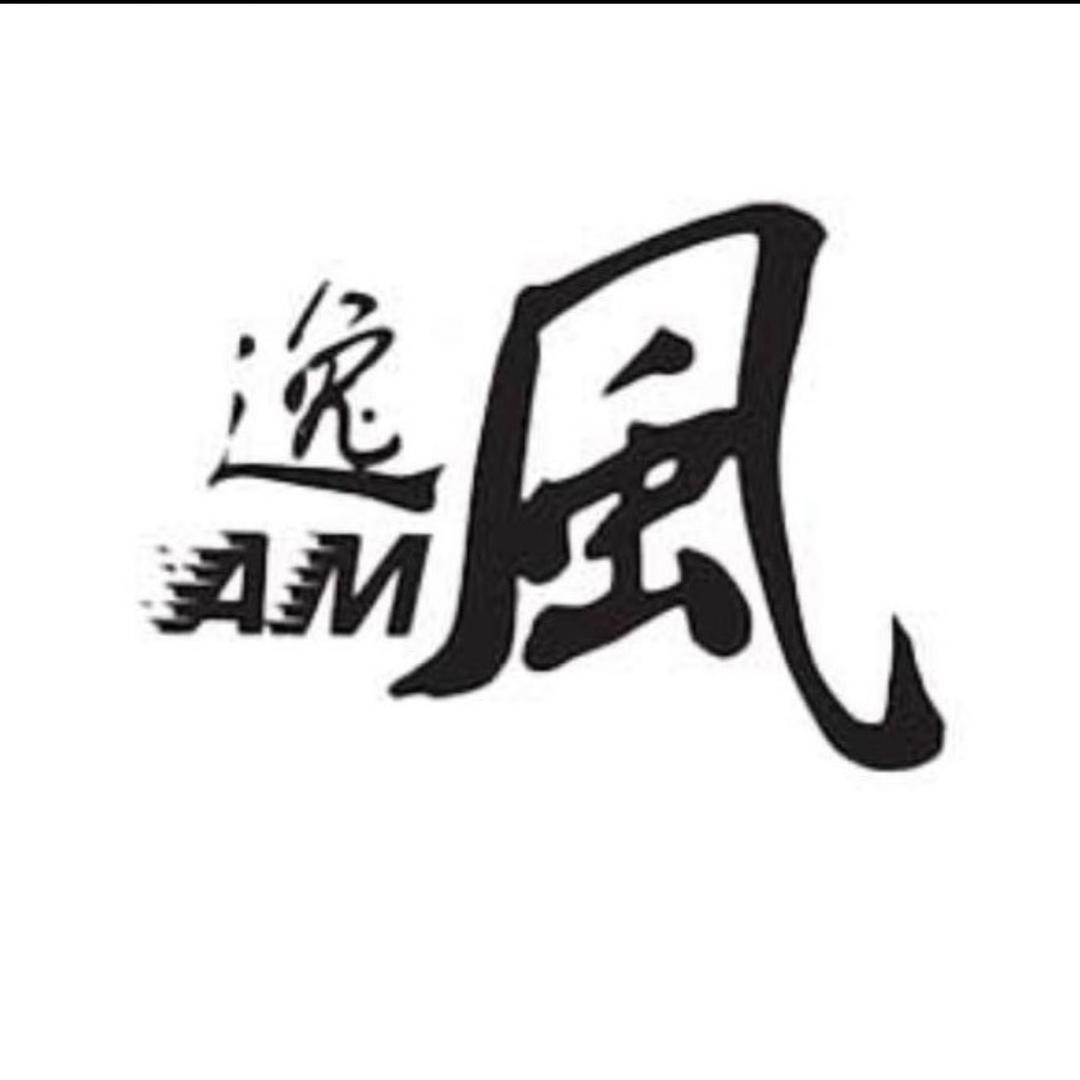逸风航模