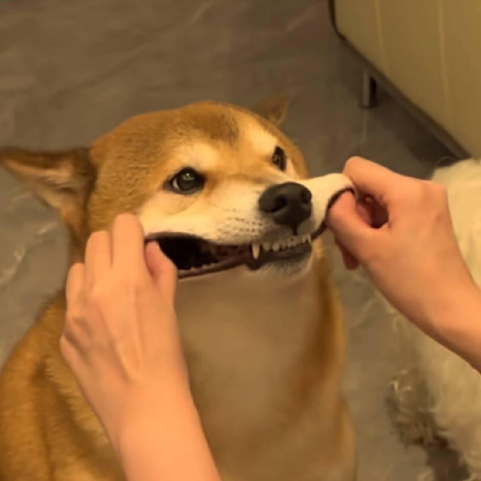 福尔摩斯看见我哭