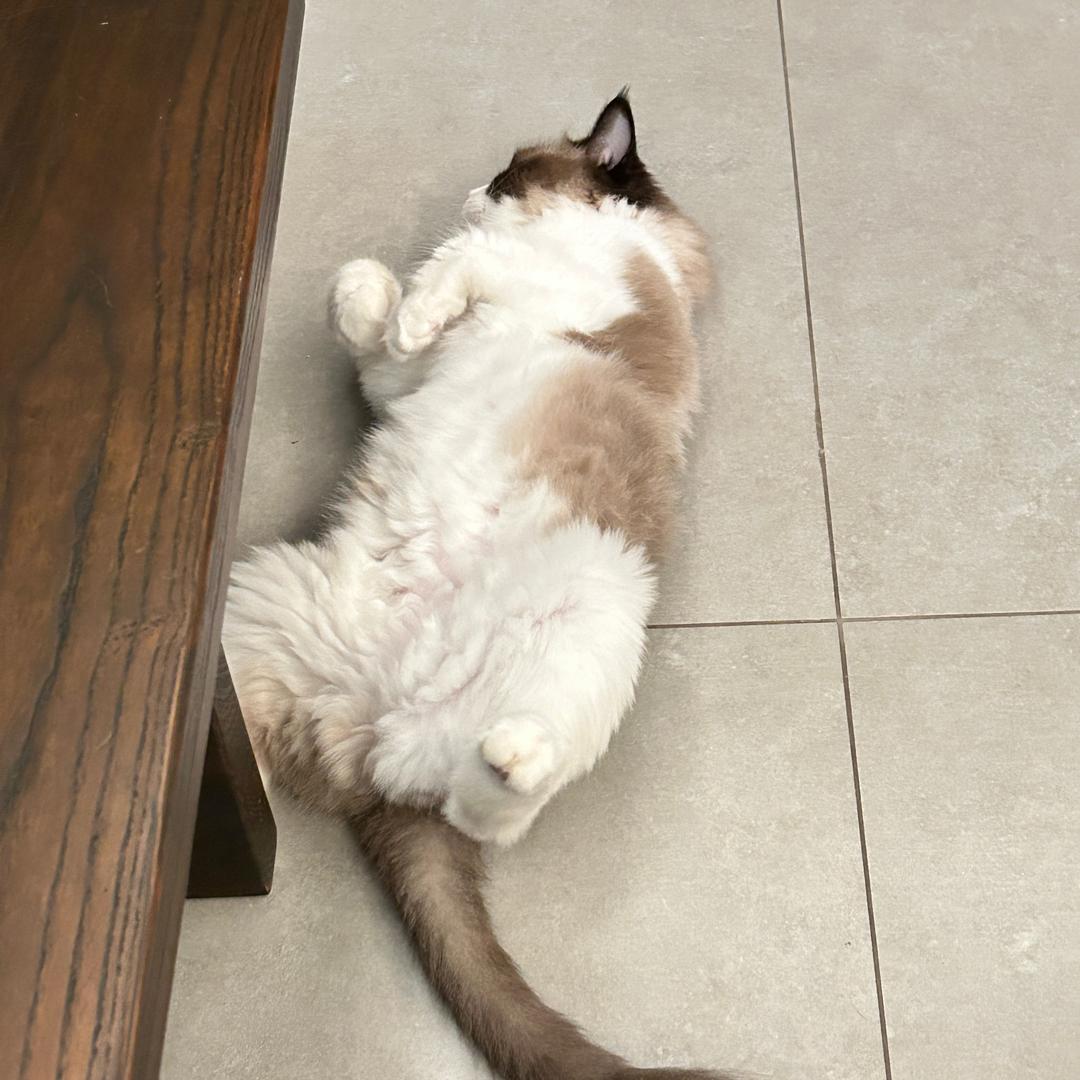 好吃好喝好玩美好生活