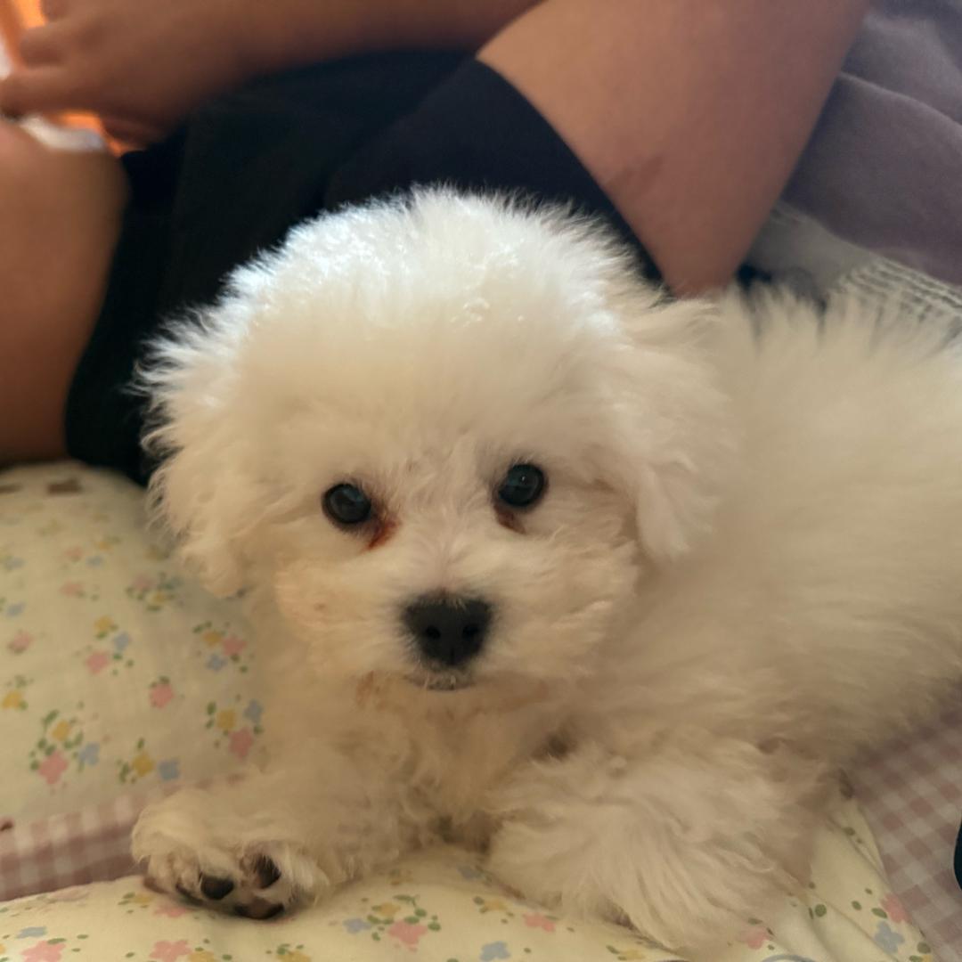 麻麻👩叫我奶豆唧～