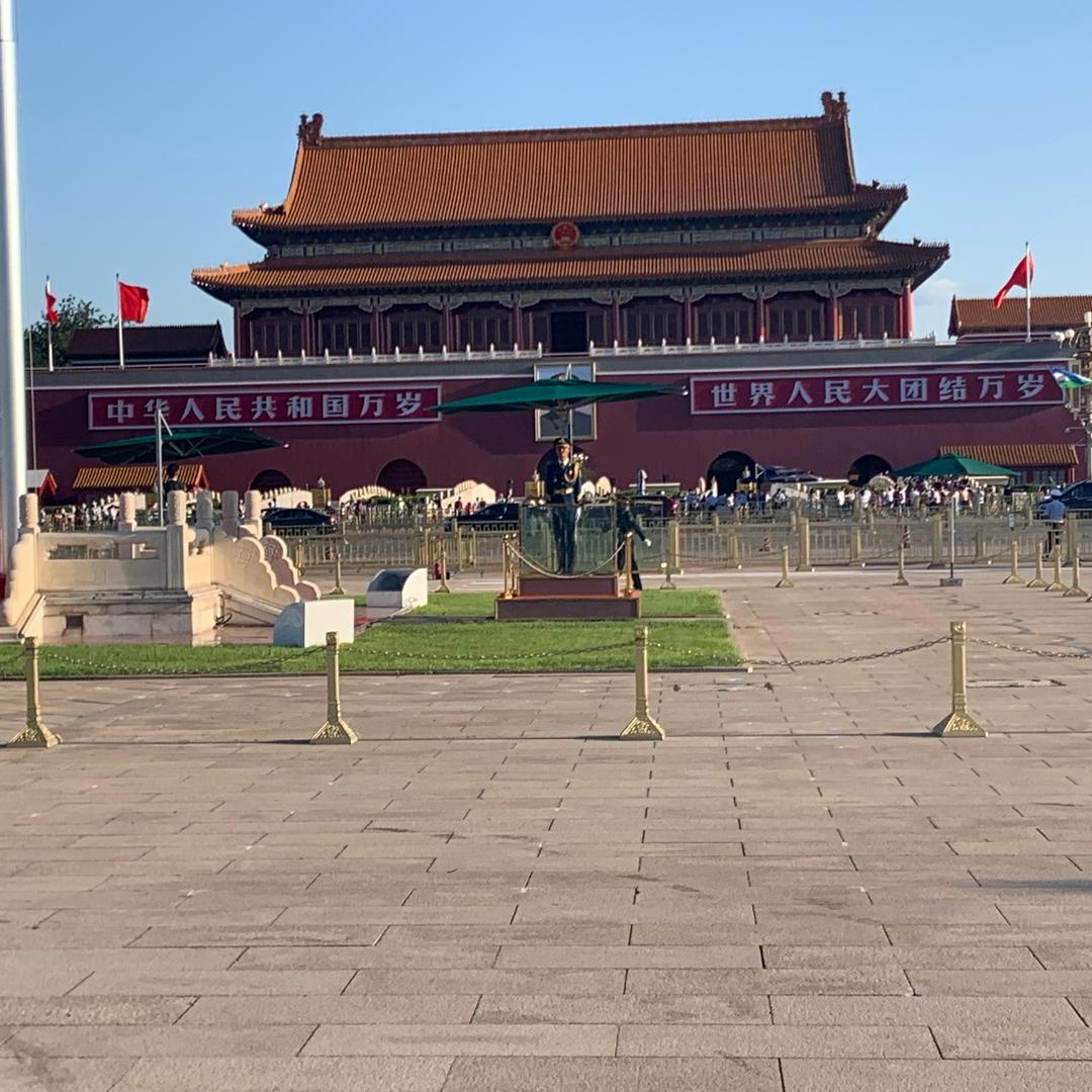 社会太黑我太累
