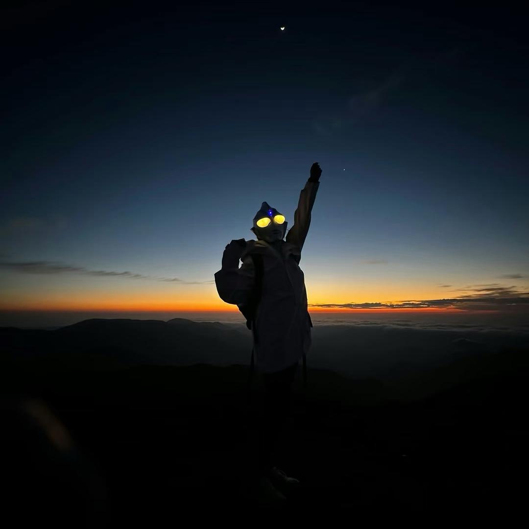 为猫猫狗狗发疯的一天